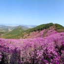(주)그린기프트 경기