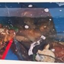 장보고해물찜 이미지