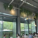 뒷골3공영노외주차장 이미지