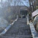 향일암 | [반려동물 동반 여행] 여수여행#4 - 올라가기 힘들어도 가볼 만한 향일암 후기