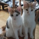 경주엘림하우스 이미지