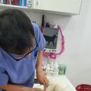 가든펫동물병원 이미지