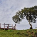 당포의하루 이미지