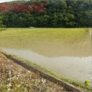 사봉면-3 이미지