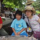 제주평강 이미지