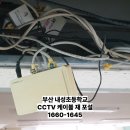 내성초등학교 이미지