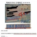 메르하바 이미지