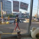 토토페키 네이버블로그