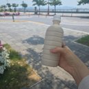 선경카 | 목포 당일치기 여행 유달콩물 백성식당 시크릿 코롬방제과점 독천골 유달산장 선경준치횟집