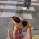 속 내과 산부인과 의원,봉덕동 명가 돈까스,대곡 카페 riz[리],베이커리 라누 퀸아망 빼빼로,차이나소담,)