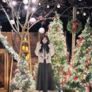 이숲 | [천안 크리스마스 카페] 또또간집 크리스마스 카페로 유명한 ‘이숲’ 따끈따끈한 리얼 후기!!