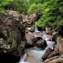 서산갯마을산악회, 제112차 정기산행(경남밀양 구만산)...구만계곡 '비경 탐방' 이미지