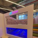 퍼플주니어 키즈카페 루원시티점 | 퍼플주니어&amp;키즈카페 루원시티점 내돈내산 후기