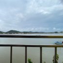 동환 | 대부도 동환네 조개구이 내돈내산 후기 | 바닷가 포장마차 감성 가득!