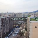 압구정-115 이미지