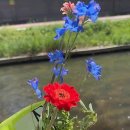 아르케 핏 이미지