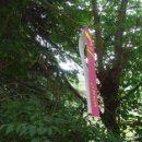 백양산임도(2) 이미지