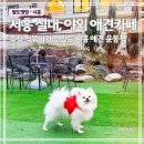 플랜더스 | 시흥 애견카페｜강아지 운동장이 있는 플랜더스파크 방문 후기