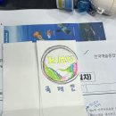 다현인터내셔널