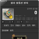 칼리헤어 이미지