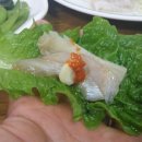 올레비치