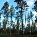 핀란드2 이미지