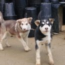 새로이농장 이미지