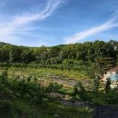 성남농장 이미지