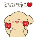 우아 유도관 이미지