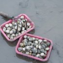 대도어촌체험휴양마을 이미지