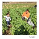 원막골민박 네이버블로그