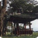 소리꾼 이은숙 판소리 완창 발표회(흥보가) | [스크랩] 남도의 판소리