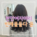 물총새공원 | 천안여자머리잘하는곳 불당동미용실 빈에물들다 윤 물총새공원점