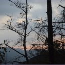 여울목펜션민박