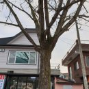 우록2리경로당 이미지