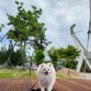 중앙공원 화장실(사무실) 이미지