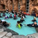 위너태권도 이미지