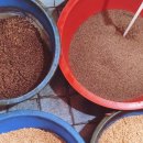 형제기름집 이미지