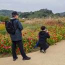 낭만여행 이미지