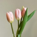다비농장 | [꽃다비팜] 인터넷으로 저렴하게 예쁜 생화 주문하기(농장직접재배, 내돈내산 후기)