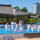 주말상설공연 | 여름보다 더 뜨거운 무대! 조카들과 함께 다녀온 2025 서울시 태권도 상설공연 후기~