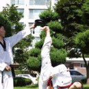 호림태권도 이미지