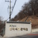#일경험 프로그램 후기