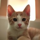 365동물병원 분당점 이미지