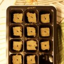 솔마1로 이미지