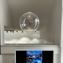 낙서카센타 이미지