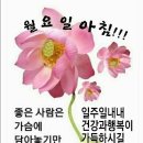 6월14일 뉴스브리핑 이미지