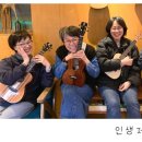 인생악기우쿨렐레제주