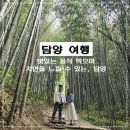 담양 여행 코스 | 죽녹원부터 메타세콰이어길까지, 담양 여행 후기