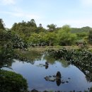 절물자연휴양림 이미지